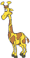 girafe5